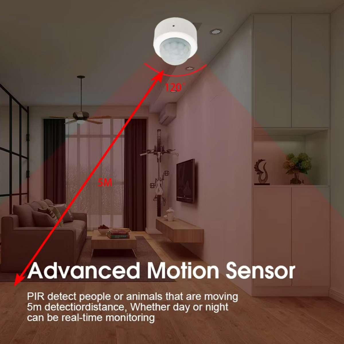 Zigbee PIR Motion Sensor Human - đánh giá và giá Home Security Alarm