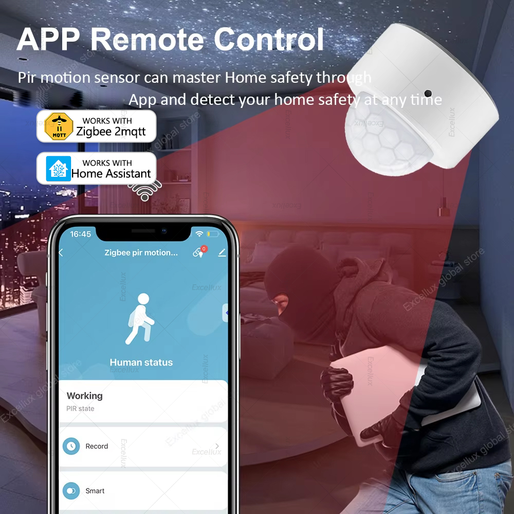 ZigBee PIR Motion Sensor Mini  - đánh giá và giá Home Security Alarm